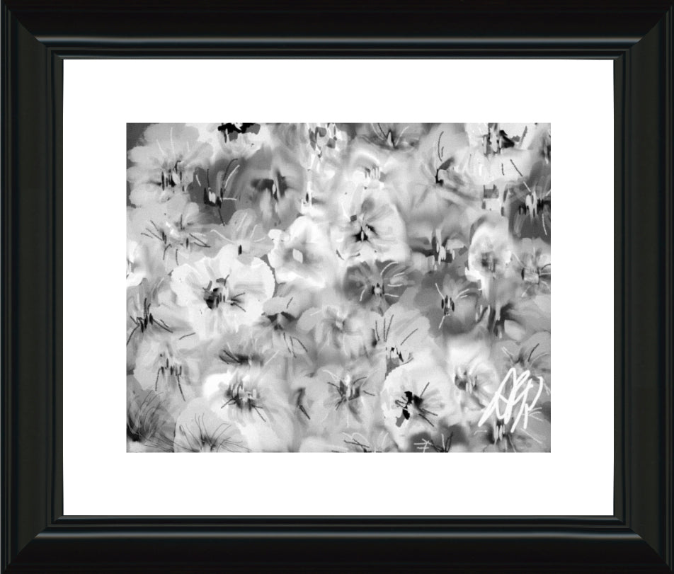 Pansies Two Ways. Framed Prints. - AFRArt2U