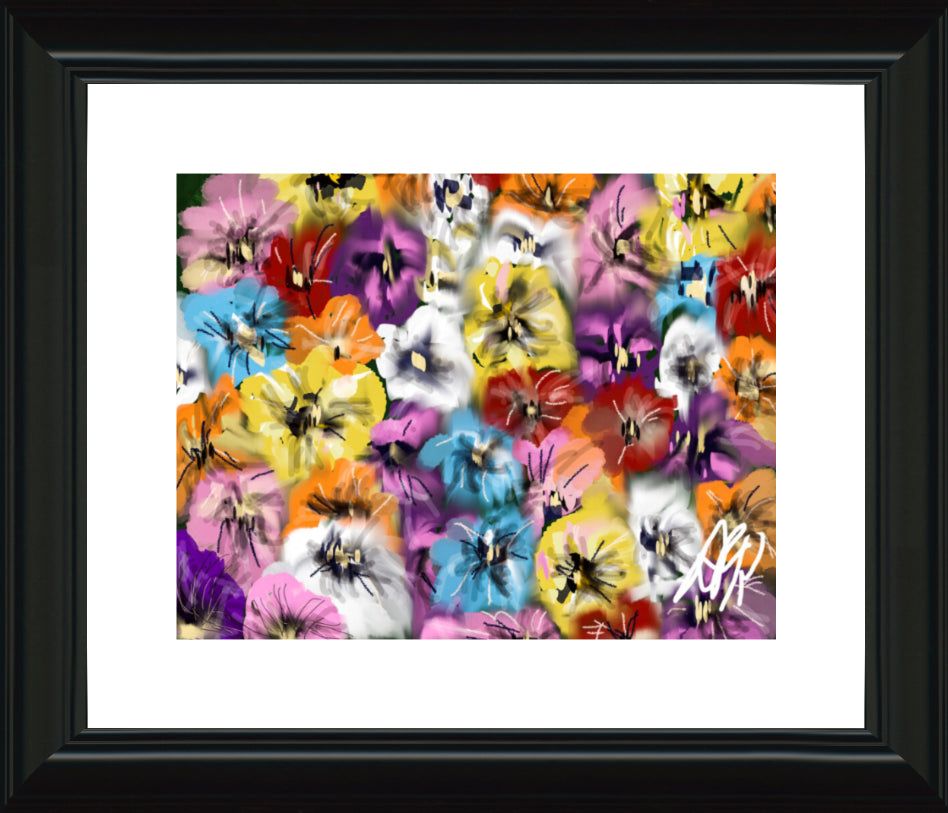 Pansies Two Ways. Framed Prints. - AFRArt2U